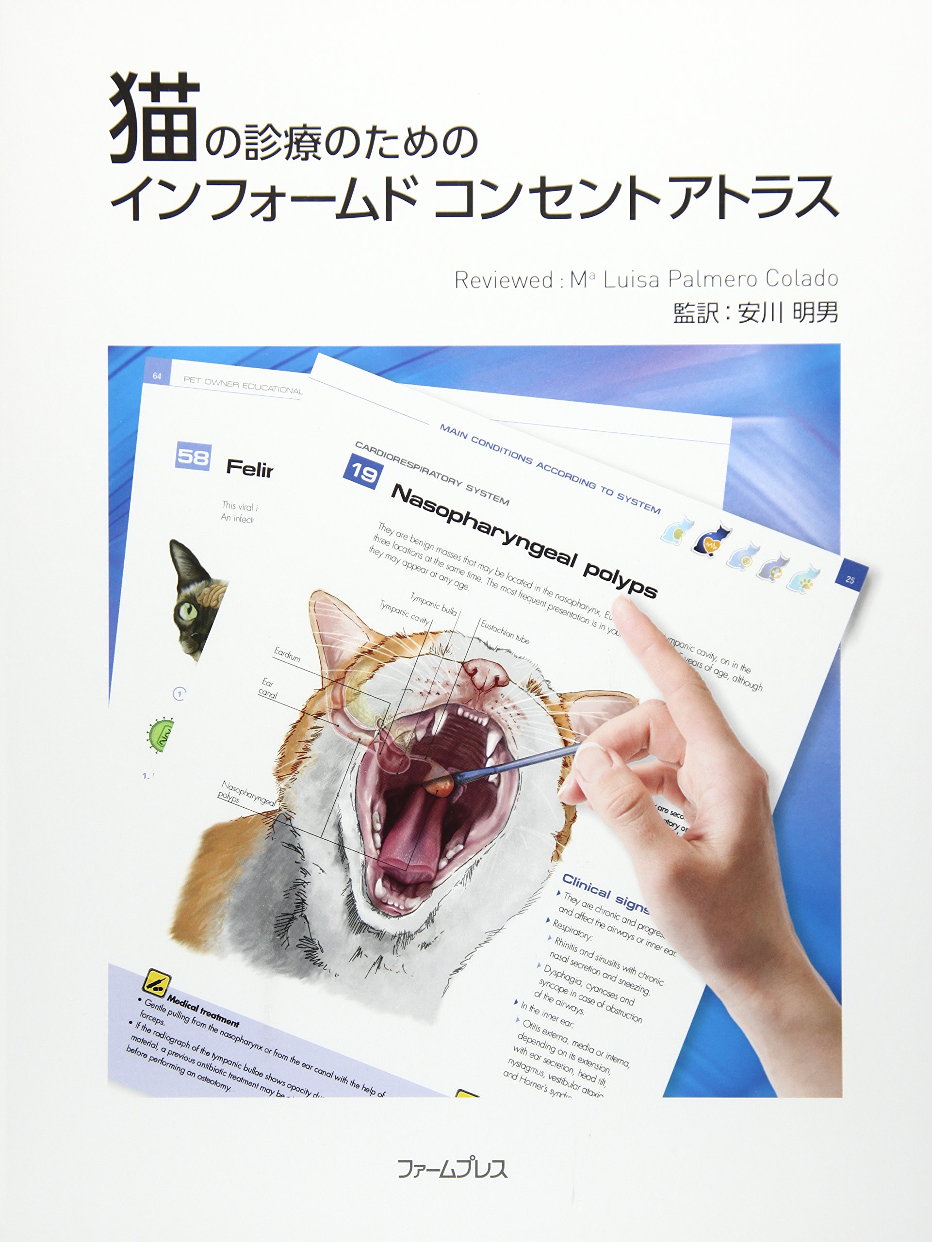 猫の診療のためのインフォームドコンセントアトラス Amazon.co.jp: 猫の診療のためのインフォ-ムドコンセントアトラス